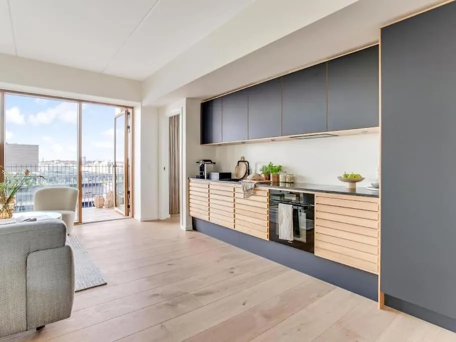 Luxury Living In Copenhagen Prime Spot Appartement